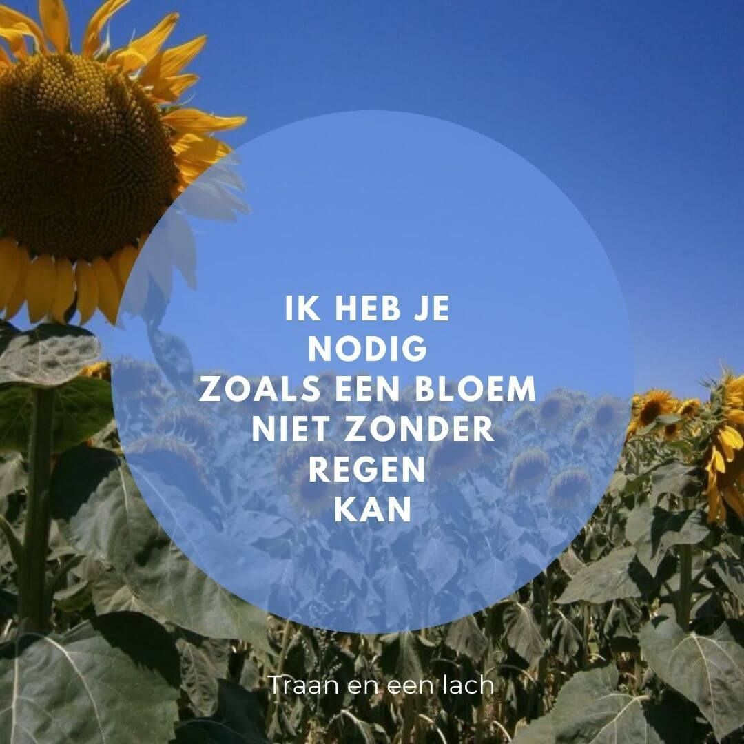 Ik heb je nodig zoals een bloem niet zonder regen kan - Traan en een Lach - Leren leven met verdriet
